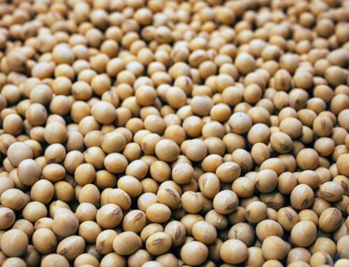 Soybean Nutrient Guide